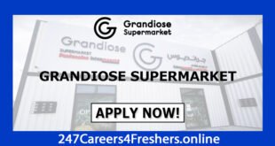 Grandiose Supermarket Careers